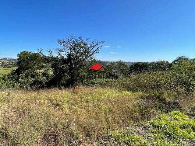 #321 - Área para Venda em Mairiporã - SP - 2