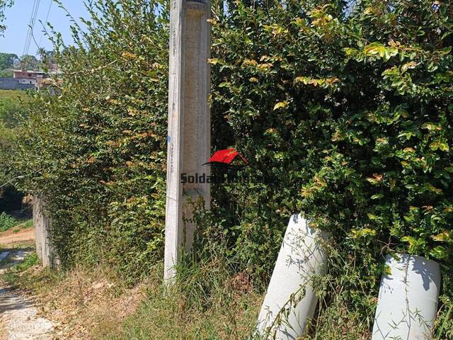 Casa para Venda em Mairiporã - 5